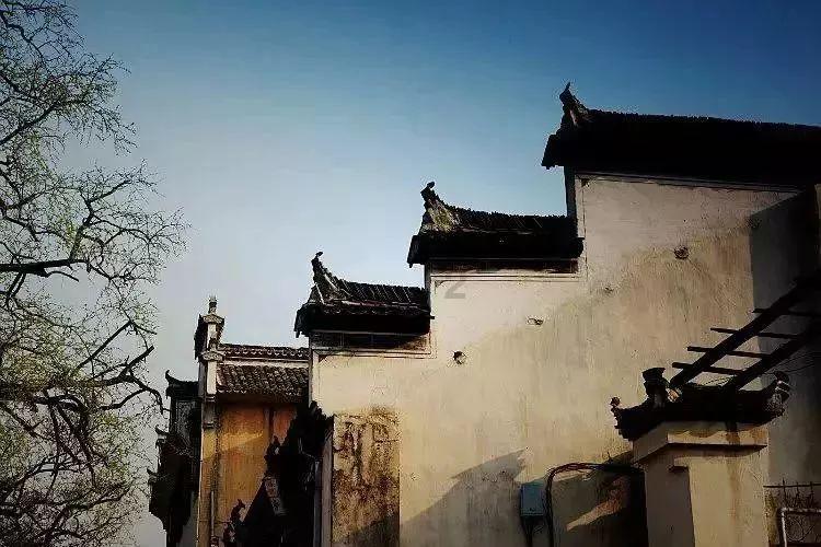 厨房油污如何清洗游戏画面